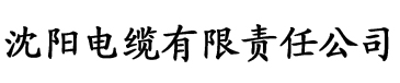 星空网站电缆厂logo